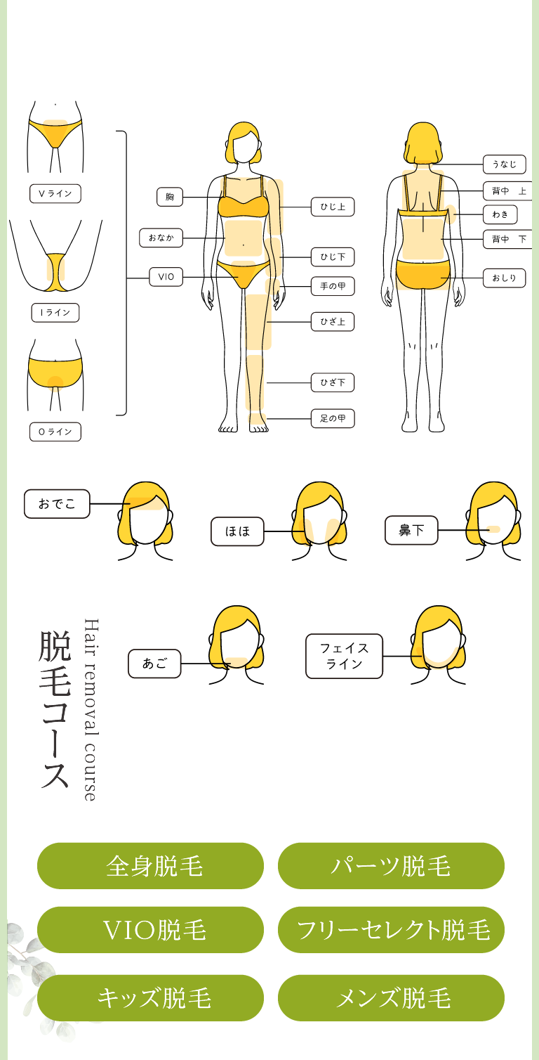 メニュー　脱毛コース